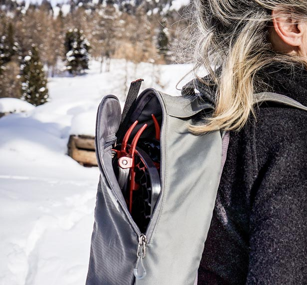 Snowfoot Snowshoe Demos